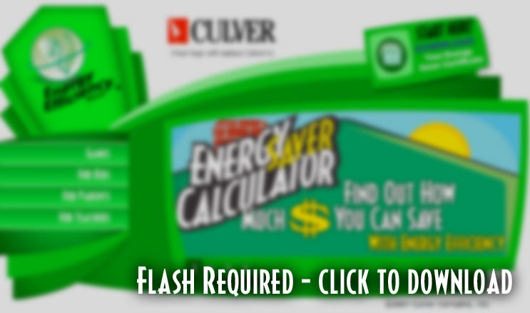 Flash is required to view this website-click here to download